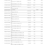 Germany Swiss Bank statement template in Word and PDF format in German language, 5 pages