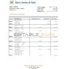 Guinea Banque Islamique de Guinée bank statement Excel and PDF template
