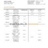 Guinea Banque Islamique de Guinée proof of address bank statement template in Word and PDF format
