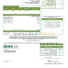 USA Virginia HCSA utility bill template in Word and PDF format