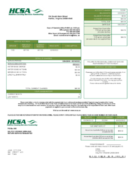 USA Virginia HCSA utility bill template in Word and PDF format