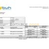 Haiti BUH bank statement Excel and PDF template