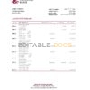 Hawaii National Bank statement Excel and PDF template