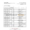 Honduras Banco Atlantida statement Excel and PDF template