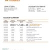 Honduras Banco de Occidente Bank statement template in Word and PDF format