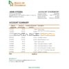 Honduras Banco de Occidente statement Excel and PDF template