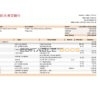 Hong Kong BEA bank statement Excel and PDF template