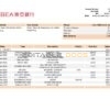 Hong Kong BEA bank statement Word and PDF template