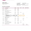Hong Kong DAH Sing Bank statement Word and PDF template