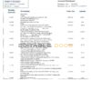 Hungary Erste Bank statement template in Word and PDF format