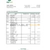 Hungary OTP bank statement Excel and PDF template
