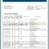 Iceland MP Bank statement template in Word and PDF format (.doc and .pdf)