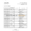 Iceland MP bank statement Excel and PDF template