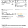 USA Missouri Independence Utilities utility bill template in Word and PDF format, version 2