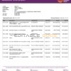 India AU Small Finance bank statement, Word and PDF template, 5 pages