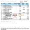 India Bank of India bank statement Word and PDF template