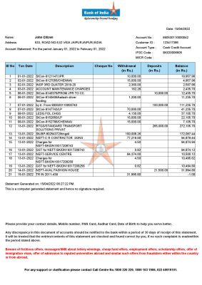 India Bank of India bank statement Word and PDF template