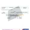 India Equitas bank statement Word and PDF template, 3 pages