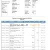 India Federal bank account statement, Word and PDF template, 3 pages