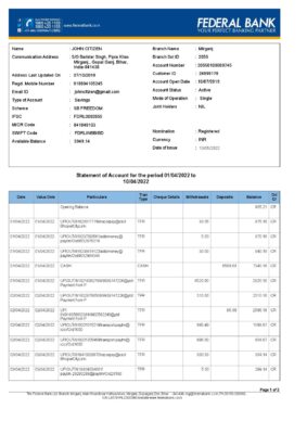 India Federal bank account statement, Word and PDF template, 3 pages