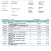 India Fincare bank account statement, Word and PDF template
