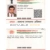 India ID card template in PSD format, fully editable, with all fonts
