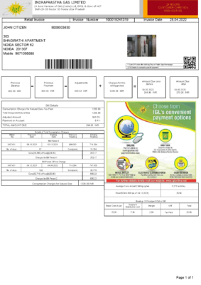 India INDRAPRASTHA GAS LIMITED utility bill template in Word and PDF format