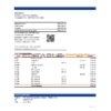 India Indian Overseas Bank statement Excel and PDF template