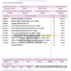 India Indian bank credit card statement, Word and PDF template, 2 pages