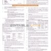 India Indian bank credit card statement, Word and PDF template, 2 pages