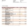 India IndusInd bank statement, Word and PDF template