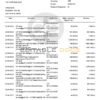 India Kotak Mahindra bank statement Word and PDF template, 7 pages