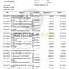 India Kotak Mahindra bank statement Word and PDF template, 7 pages