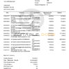 India Kotak Mahindra bank statement Word and PDF template, 7 pages