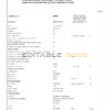India Punjab National Bank statement Word and PDF template, 2 pages