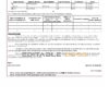 India Punjab National Bank statement Word and PDF template, 2 pages