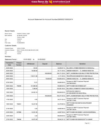India Punjab National Bank statement Word and PDF template, 2 pages, version 2