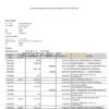 India Punjab National Bank statement Word and PDF template, 2 pages, version 2