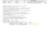 India Punjab National Bank statement Word and PDF template, 2 pages, version 2
