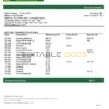 India Punjab and Sind Bank statement template in Word and PDF format