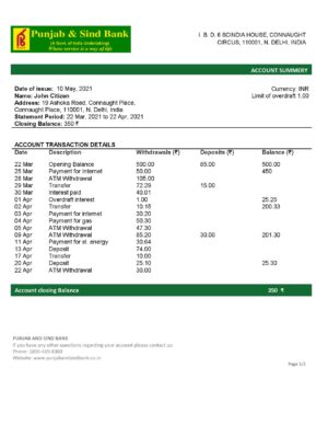 India Editable Docs 9 India Punjab and Sind bank statement Excel and PDF template