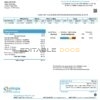 India Simpa Energy India Pvt. Ltd utility bill template in Word and PDF format