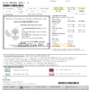 India Tata Indicom mobile utility bill template in Word and PDF format, 2 pages