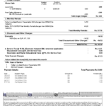 India Tata Indicom mobile utility bill template in Word and PDF format, 2 pages