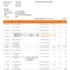 India The Bank of Punjab (BOP) account statement Word and PDF template, 3 pages