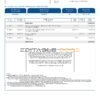 Indonesia BRIsyariah bank e-Statement, Word and PDF template