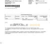 Indonesia DBS Digibank statement, Word and PDF template, 2 pages