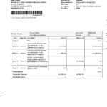 Indonesia DBS Digibank statement, Word and PDF template, 2 pages