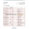 Iraq Rafidain Bank statement Excel and PDF template
