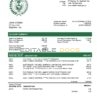Iraq Rafidain bank statement easy to fill template in Word and PDF format